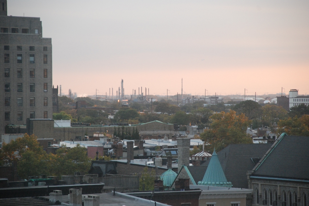 DSC_0320.JPG